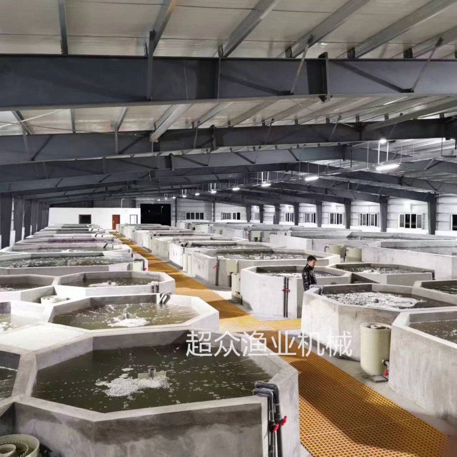 工厂化循环养殖系统
