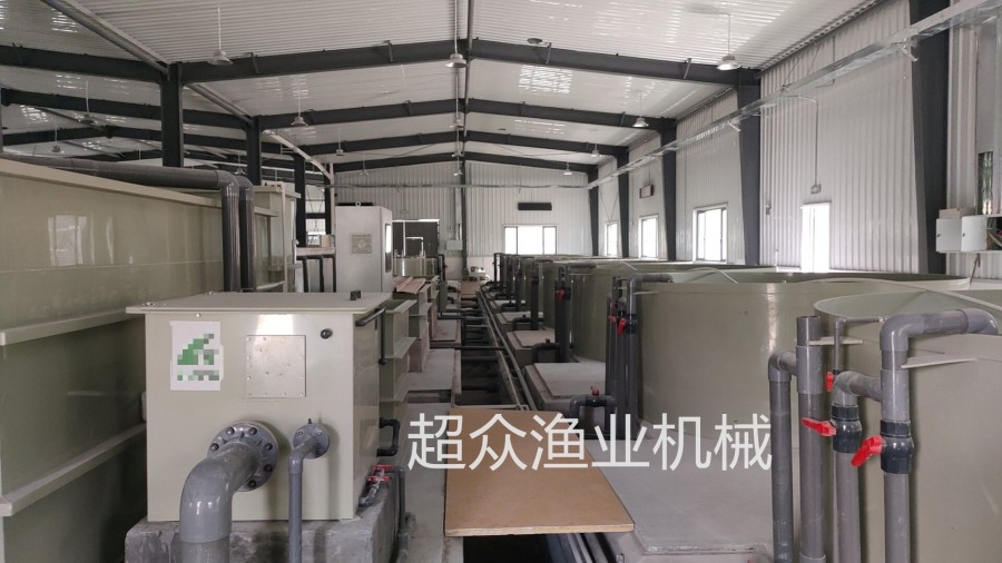 工厂化循环养殖系统