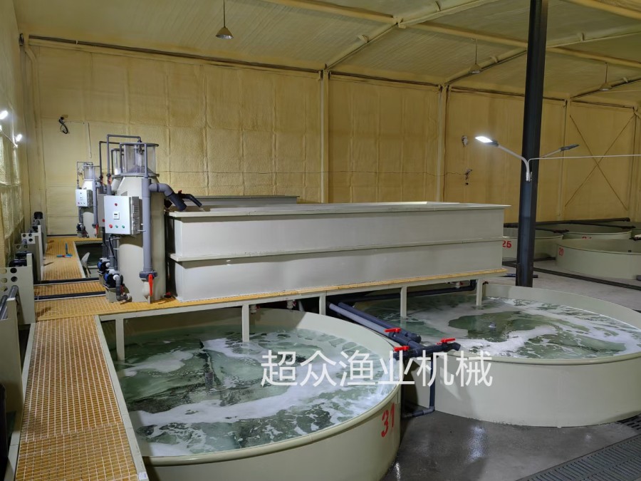 工厂化循环养殖系统